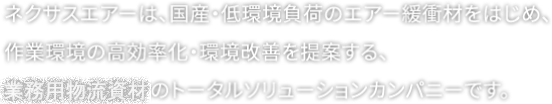 株式会社ネクサスエアー